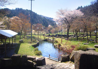 場内風景